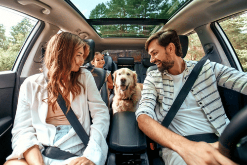 Comprehensive Road Trip Inspection by Barney Brothers Off Road and Repair in Grand Junction, CO. Image of a family with their dog in the car, ready for a summer road trip after a thorough vehicle inspection.